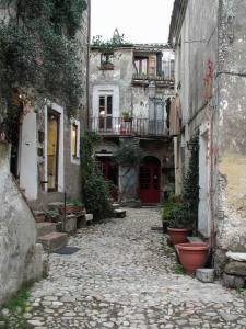 c20